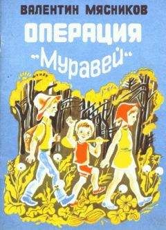 Читайте книги онлайн на Bookidrom.ru! Бесплатные книги в одном клике Валентин Мясников - Операция 