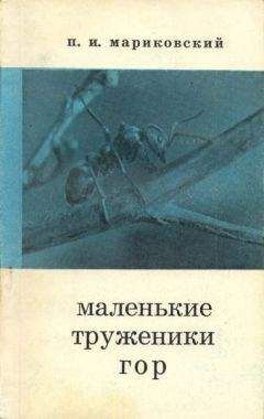 Павел Мариковский - Маленькие труженики гор