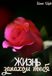 Читайте книги онлайн на Bookidrom.ru! Бесплатные книги в одном клике Жизнь запахом тебя (СИ) - Мэй Инна