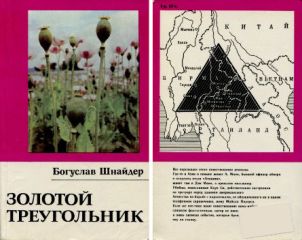 Читайте книги онлайн на Bookidrom.ru! Бесплатные книги в одном клике Богуслав Шнайдер - Золотой треугольник