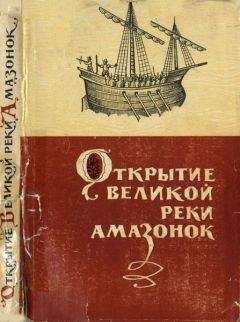 Читайте книги онлайн на Bookidrom.ru! Бесплатные книги в одном клике Б. Малкес - Открытие великой реки Амазанок