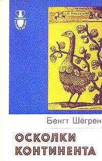Читайте книги онлайн на Bookidrom.ru! Бесплатные книги в одном клике Бенгт Шёгрен - Осколки континента