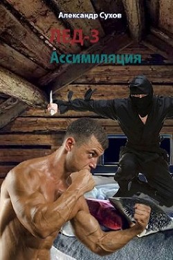 Читайте книги онлайн на Bookidrom.ru! Бесплатные книги в одном клике Ассимиляция (СИ) - Сухов Александр Евгеньевич