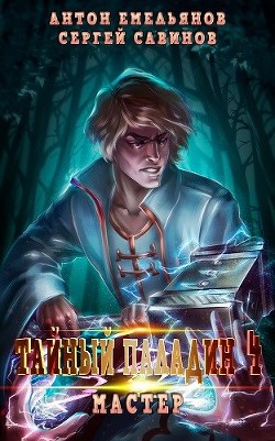 Читайте книги онлайн на Bookidrom.ru! Бесплатные книги в одном клике Тайный паладин 4: Мастер (СИ) - Емельянов Антон Дмитриевич