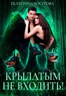 Читайте книги онлайн на Bookidrom.ru! Бесплатные книги в одном клике Крылатым не входить! (СИ) - Вострова Екатерина
