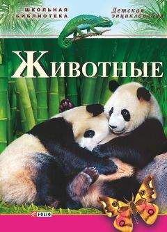 Читайте книги онлайн на Bookidrom.ru! Бесплатные книги в одном клике Юрий Беспалов - Животные