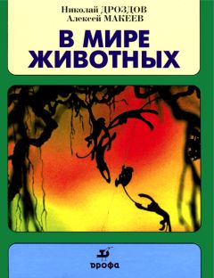 Читайте книги онлайн на Bookidrom.ru! Бесплатные книги в одном клике Николай Дроздов - В мире животных