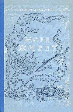 Читайте книги онлайн на Bookidrom.ru! Бесплатные книги в одном клике Н. Тарасов - Море живёт