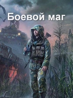 Читайте книги онлайн на Bookidrom.ru! Бесплатные книги в одном клике Боевой маг (СИ) - Соловьев Роман Васильевич