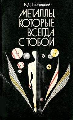 Читайте книги онлайн на Bookidrom.ru! Бесплатные книги в одном клике Терлецкий Давидович - Металлы, которые всегда с тобой