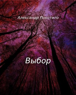 Читайте книги онлайн на Bookidrom.ru! Бесплатные книги в одном клике Выбор (СИ) - Покотило Александр