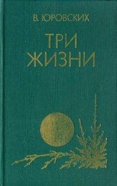 Читайте книги онлайн на Bookidrom.ru! Бесплатные книги в одном клике Василий Юровских - Три жизни