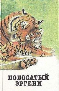 Читайте книги онлайн на Bookidrom.ru! Бесплатные книги в одном клике М. Алазанцев - Грозный отшельник