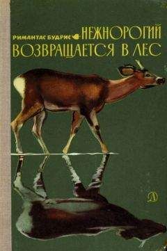 Читайте книги онлайн на Bookidrom.ru! Бесплатные книги в одном клике Римантас Будрис - Нежнорогий возвращается в лес