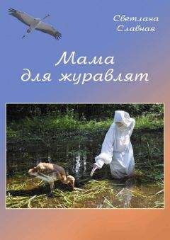 Читайте книги онлайн на Bookidrom.ru! Бесплатные книги в одном клике Светлана Славная - Мама для журавлят