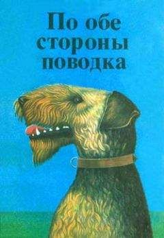 Читайте книги онлайн на Bookidrom.ru! Бесплатные книги в одном клике Дитрих Росс - Фернандо, совсем необычный пес