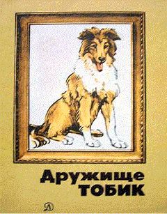 Читайте книги онлайн на Bookidrom.ru! Бесплатные книги в одном клике Игорь Недоля - Карагёз