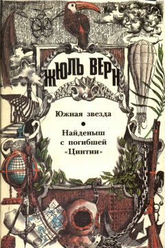 Читайте книги онлайн на Bookidrom.ru! Бесплатные книги в одном клике Жюль Верн - Южная звезда