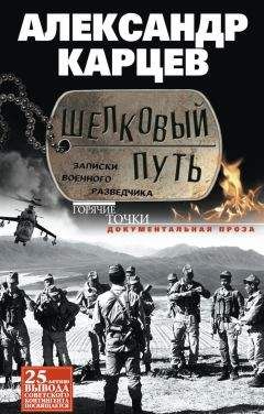Александр Карцев - Шелковый путь. Записки военного разведчика Читайте книги онлайн на Bookidrom.ru! Бесплатные книги в одном клике