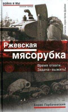 Читайте книги онлайн на Bookidrom.ru! Бесплатные книги в одном клике Борис Горбачевский - Ржевская мясорубка. Время отваги. Задача — выжить!