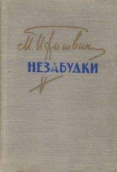 Читайте книги онлайн на Bookidrom.ru! Бесплатные книги в одном клике Михаил Пришвин - Незабудки