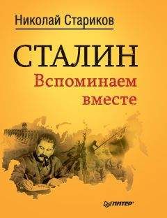 Читайте книги онлайн на Bookidrom.ru! Бесплатные книги в одном клике Николай Стариков - Сталин. Вспоминаем вместе