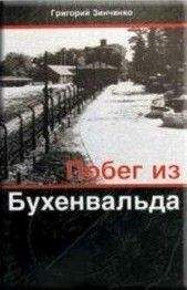 Читайте книги онлайн на Bookidrom.ru! Бесплатные книги в одном клике Григорий Зинченко - Побег из Бухенвальда