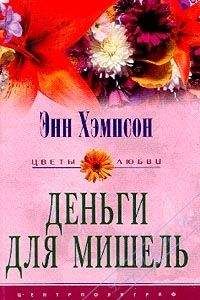 Читайте книги онлайн на Bookidrom.ru! Бесплатные книги в одном клике Энн Хэмпсон - Деньги для Мишель