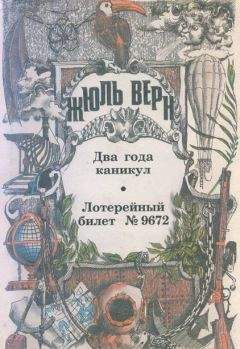 Читайте книги онлайн на Bookidrom.ru! Бесплатные книги в одном клике Жюль Верн - Лотерейный билет № 9672