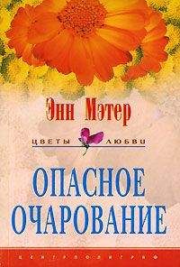 Читайте книги онлайн на Bookidrom.ru! Бесплатные книги в одном клике Энн Мэтер - Опасное очарование