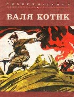 Читайте книги онлайн на Bookidrom.ru! Бесплатные книги в одном клике Гусейн Наджафов - Валя Котик