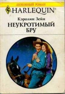 Читайте книги онлайн на Bookidrom.ru! Бесплатные книги в одном клике Кэролин Зейн - Неукротимый Бру