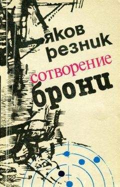 Читайте книги онлайн на Bookidrom.ru! Бесплатные книги в одном клике Яков Резник - Сотворение брони