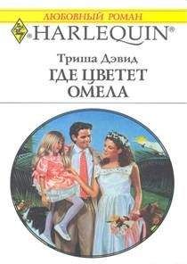 Читайте книги онлайн на Bookidrom.ru! Бесплатные книги в одном клике Триша Дэвид - Где цветет омела