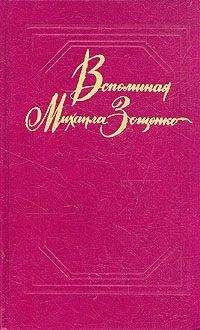 Читайте книги онлайн на Bookidrom.ru! Бесплатные книги в одном клике Ю. Томашевский - Вспоминая Михаила Зощенко