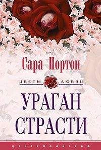 Читайте книги онлайн на Bookidrom.ru! Бесплатные книги в одном клике Сара Нортон - Ураган страсти