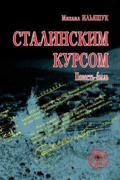 Читайте книги онлайн на Bookidrom.ru! Бесплатные книги в одном клике Михаил Ильяшук - Сталинским курсом