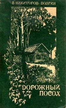 Читайте книги онлайн на Bookidrom.ru! Бесплатные книги в одном клике Василий Никифоров–Волгин - Рассказы