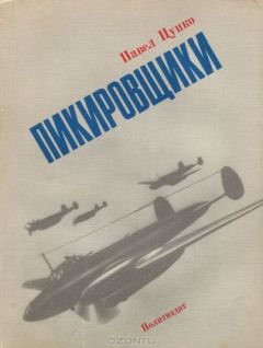 Читайте книги онлайн на Bookidrom.ru! Бесплатные книги в одном клике Павел Цупко - Пикировщики