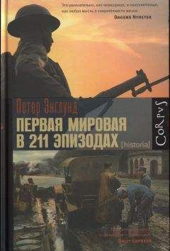 Читайте книги онлайн на Bookidrom.ru! Бесплатные книги в одном клике Петер Энглунд - Первая мировая война в 211 эпизодах