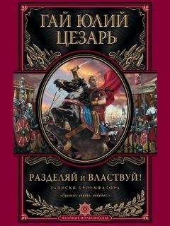 Читайте книги онлайн на Bookidrom.ru! Бесплатные книги в одном клике Гай Юлий Цезарь - Разделяй и властвуй. Записки триумфатора