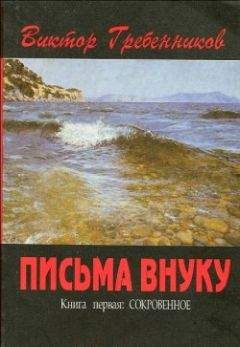 Читайте книги онлайн на Bookidrom.ru! Бесплатные книги в одном клике Виктор Гребенников - Письма внуку. Книга первая: Сокровенное.