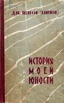 Читайте книги онлайн на Bookidrom.ru! Бесплатные книги в одном клике Дмитрий Петров-Бирюк - История моей юности