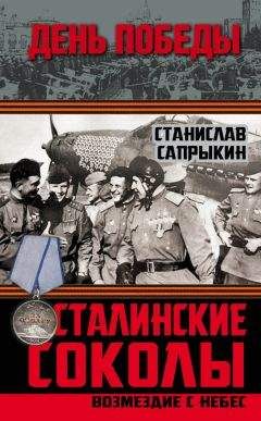 Станислав Сапрыкин - Сталинские соколы. Возмездие с небес