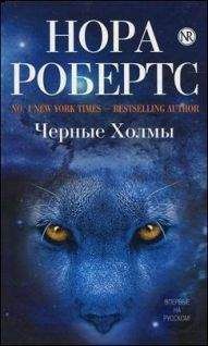 Читайте книги онлайн на Bookidrom.ru! Бесплатные книги в одном клике Нора Робертс - Черные холмы