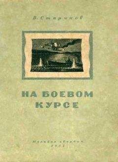 Читайте книги онлайн на Bookidrom.ru! Бесплатные книги в одном клике Валентин Стариков - На боевом курсе