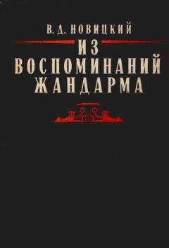 Читайте книги онлайн на Bookidrom.ru! Бесплатные книги в одном клике Василий Новицкий - Из воспоминаний жандарма