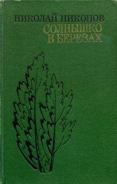 Читайте книги онлайн на Bookidrom.ru! Бесплатные книги в одном клике Николай Никонов - Солнышко в березах