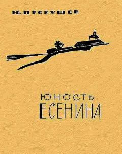 Читайте книги онлайн на Bookidrom.ru! Бесплатные книги в одном клике Юрий Прокушев - Юность Есенина