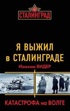 Читайте книги онлайн на Bookidrom.ru! Бесплатные книги в одном клике Иоахим Видер - Я выжил в Сталинграде. Катастрофа на Волге